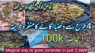 Magical Way to Grow Coriander in just 3 days.Easiest method to grow coriander at home in April month