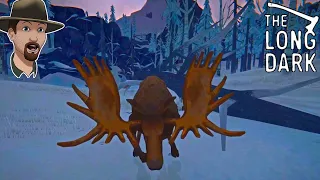 Moose Attack with 100% Protection- Long Dark Interloper S6E101