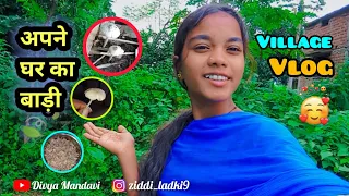 अपने घर का बाड़ी 🤗🌱🍃‼️Village Vlog‼️Divya Mandavi.