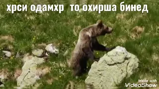 очень страшно смотри до конца и лайки 👍🙀🙀🙀🙀