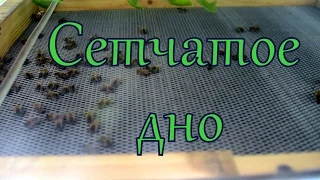 Сетчатое дно многокорпусного улья