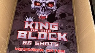 King of the Block 66 shots 💥 #Newyears2024 #Midwestpyro