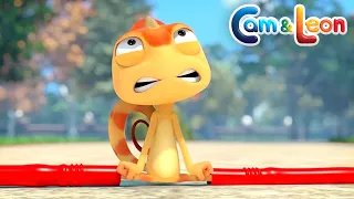 Cam & Leon | LONG LEGS (S01E75) Cartoon for Kids | Funny Cartoon