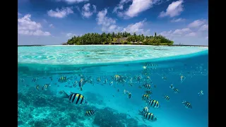Вебинар по направлениям: Мальдивы, Маврикий, Малайзия
