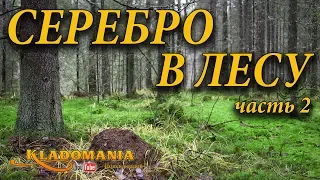 ПОИСК КЛАДОВ С ЛЕСУ. СЕРЕБРО в лесу 🌲🌲🌲 Часть 2. Кладомания