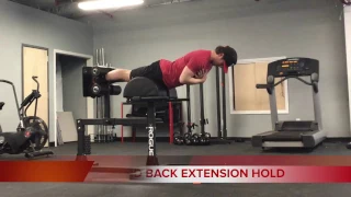 GHD BACK EXTENSION HOLD