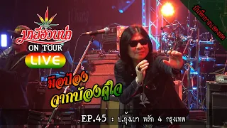 มาลีฮวนน่า LIVE EP.45 : ป.กุ้งเผา หลัก 4 กรุงเทพ #ติดต่องานแสดง 0817972636 คุณ ภูมินทร์