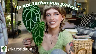 I got 6 new Anthurium from Kartel Daun 🙌🌿 unboxing + settling them in 🖤