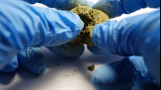 MOONROCK dissected........ Dr. Zodiak's Moonrock are made w/ 90%THC Clear & CBD now!!!