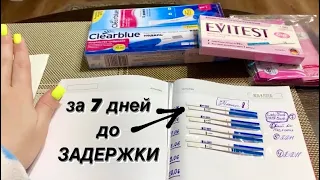 ДЕЛАЮ ТЕСТЫ НА БЕРЕМЕННОСТЬ за 7 дней до задержки ч.2