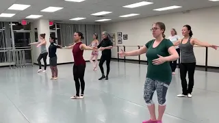 First five months of adult ballet!