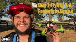 Day 1 Flying a 3" Freestyle Drone - DarwinFPV Baby Ape Pro Maiden Flight