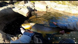 Fly Fishing the SNOWY RIVER,  Kosciuszko National Park,. Australia