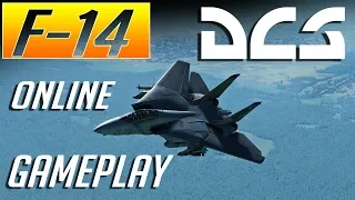 DCS: F-14 Tomcat Online Gameplay