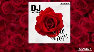 Dj Antoine - La Vie En Rose (Dinoizo Remix)