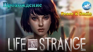 Прохождение Life Is Strange #9 Как спасти Хлои из под поезда. Эпик!