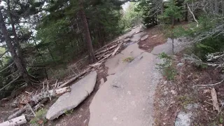 Gorham Mountain - Cadillac Cliffs trail Acadia National Park