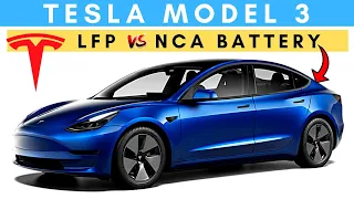 Tesla Model 3 New LFP Battery Compared To Regular NCA | Buy Or Avoid?