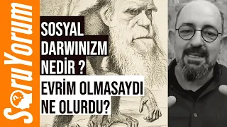 SoruYorum - Evrim Olmasaydı Ne Olurdu? Sosyal Darwinizm Nedir?