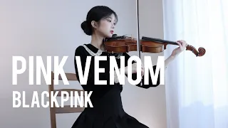 BLACKPINK - Pink Venom - Viola Cover