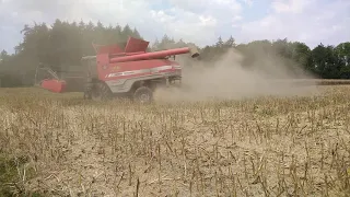 Rapsernte 2020 / Canola Harvest 2020