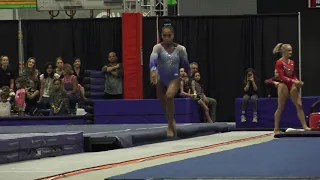 Shilese Jones - Vault - 2018 World Team Selection Camp