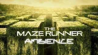 The Maze Runner | Ambient Soundscape