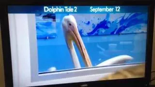 Dolphin Tale 2:Trailer