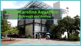 South Carolina Aquarium Walkthrough and Review