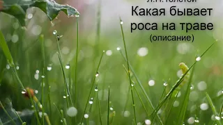 Л. Толстой "Какая бывает роса на траве" (описание)