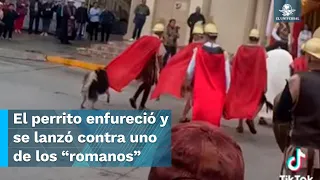 En pleno viacrucis, lomito sale a defender a Jesucristo en Coahuila