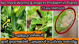 2 Secret Methods to Get Rid of Worms & Insects from Plant | ചെടിയിൽ ഇനി പുഴുക്കളുടെ ശല്യം ഉണ്ടാകില്ല
