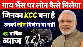 गाय, भैंस पर लोन कैसे मिलेगा ? Pashu loan kaise Milega 2022 || How to Apply Pashu Kisan Credit Card
