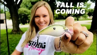 Fall Bass Fishing Using Crankbaits - Bass Patterns & Seasonal Transition