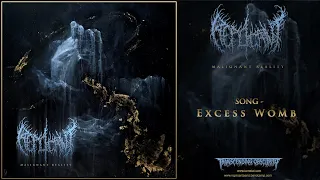 REPLICANT (US) - Excess Womb (Death Metal) #deathmetal #transcendingobscurity