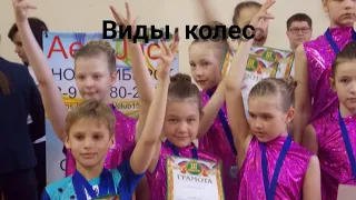 Виды колес в гимнастике🤸🏽‍♀️(описание👇)