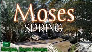 MOSES SPRING, CINEMATIC VIEW | MAQNA / GULF OF AQABA | SAUDI ARABIA