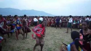 Swazilend 2009. Reed Dance Escape.avi