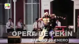 44º Festival Nacional del Folklore de San Bernardo - Noche 3