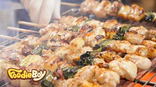 Best Grilled Skewers / Chicken, Beef, Pork, Shrimp, Lamb, Octopus