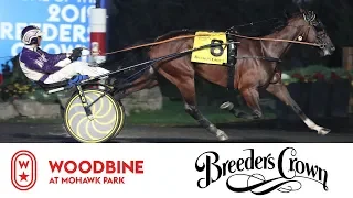 2019 Breeders Crown Final: 3YO Colts & Geldings Trot | Woodbine At Mohawk Park, October 26 – Race 7