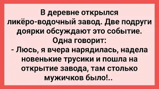 Доярка в новых Трусах Пошла на Открытие Завода! Сборник Свежих Смешных Жизненных Анекдотов!