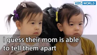 I guess their mom is able to tell them apart [Mr. House Husband : EP.262-1] | KBS WORLD TV 220708