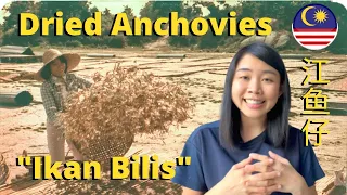 How Anchovies are Made in Malaysia 认识马来西亚江鱼仔