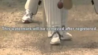 Aleem Dar vs Shane Warne