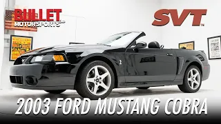 2003 Ford Mustang Cobra | [4K] | REVIEW SERIES | "Black Beauty"