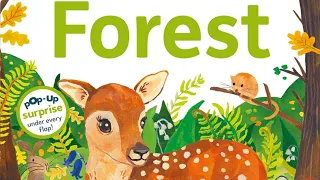 FOREST | Pop-Up Peekaboo| EARLY LEARNING | FUN FACTS #readaloud #learning #toddlers #preschool #esl