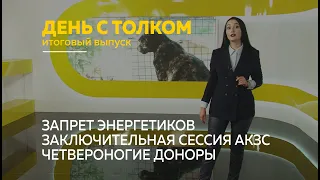 «День с Толком». 28.08.2021