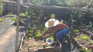 Eu amo morar na roça,+comida feita no fogão a lenha