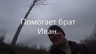 Таежная подготовка к охоте на медведя.